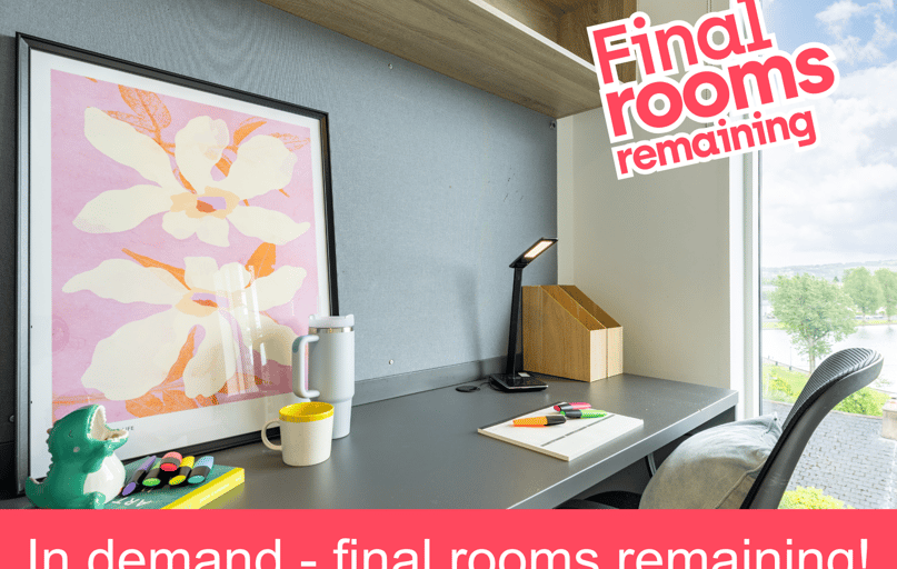 Standard Plus En Suite, Ashlin House, Bandon Road Cork, University College Cork, Cork - Image 1